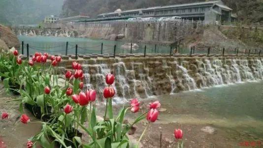 小猫钓鱼开船版最新版下载