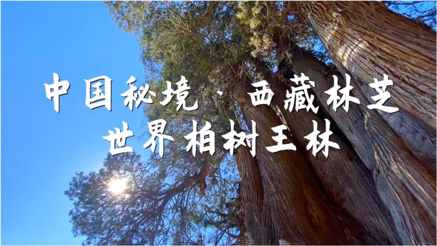 可口可乐唇膏可以吃吗